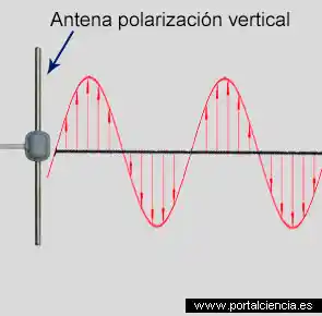 ondas de radiofrecuencia polarización vertical